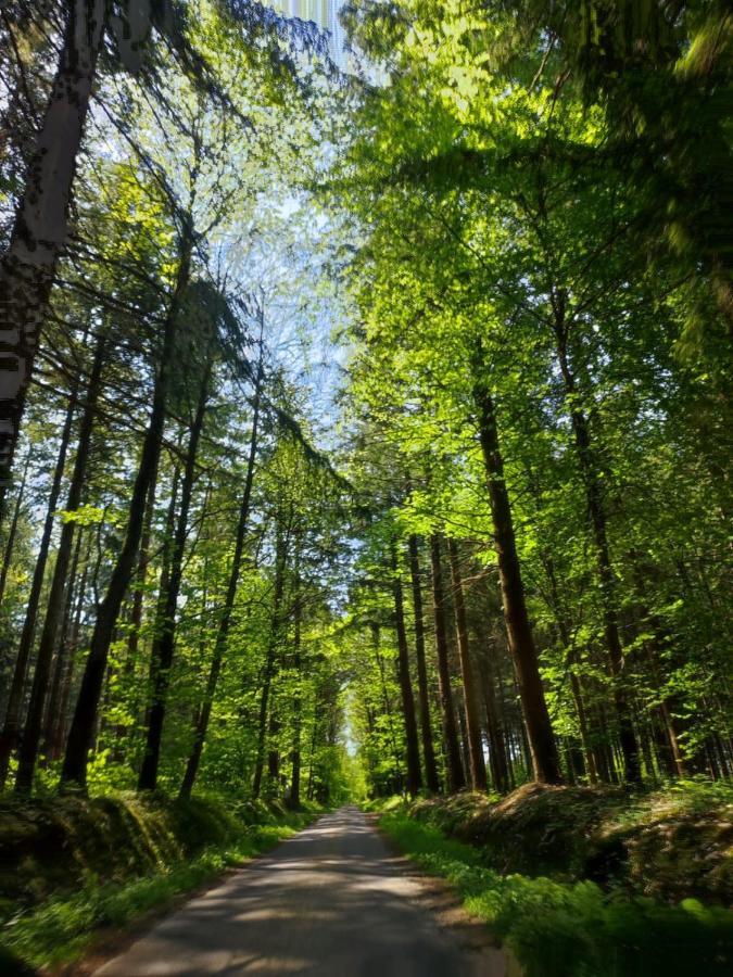 Gite Les Tongs Des Pres, Au Coeur Du Parc Normandie Maine Livaie Exterior photo